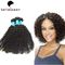 Cheveux brésiliens noirs naturels bouclés frisés de Vierge tissant sans produit chimique fournisseur