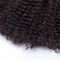 Les cheveux bouclés frisés brésiliens de la catégorie 5A 6A 7A cousent dans le nylon pour l'extension fournisseur