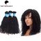 Cheveux européens bouclés frisés noirs naturels de Vierge de 100% des paquets de cheveux fournisseur