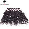 Courbez les cheveux péruviens de vague d'eau de cheveux de 6A Remy pour des femmes de couleur fournisseur