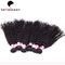 Noir naturel bouclé dessiné indien de prolongements de cheveux de Remy 100G double fournisseur