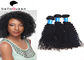 Cheveux brésiliens non-traités de cheveux brésiliens de Vierge d'OEM fournisseur