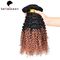 Deux prolongements de cheveux d'Ombre Remy de tons, cheveux bouclés tissant pour des femmes de couleur fournisseur