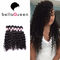 Prolongements péruviens bouclés frisés de cheveux du vison 100% d'Afro pour des femmes de couleur fournisseur